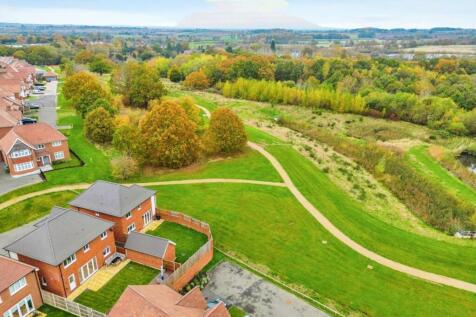 drone shot 2.jpg