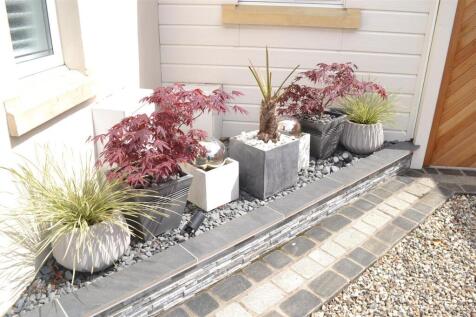 POTTED PLANTS