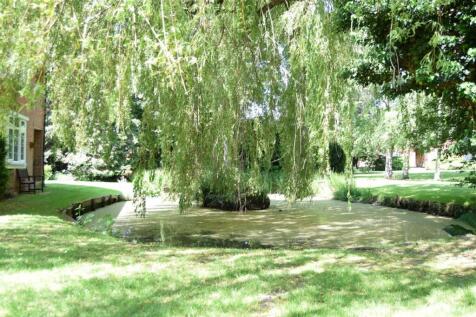 POND AREA