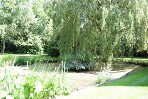 POND AREA