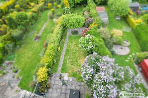 DJI_0245.jpg