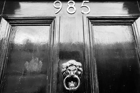 IMG_7368.jpeg
