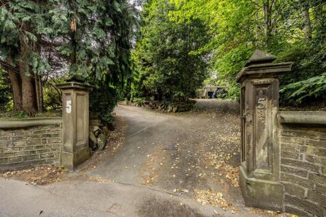 5aHRHudds-220525-43.jpg