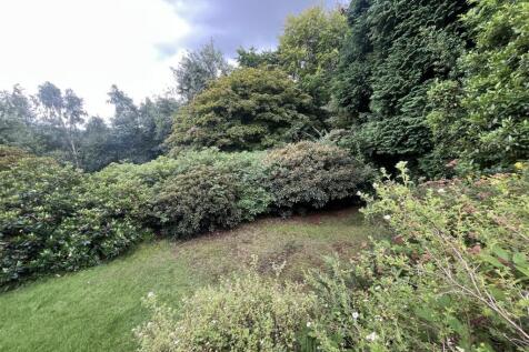 IMG_0170.jpeg
