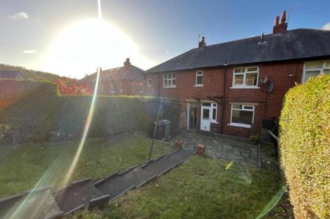 WhatsApp Image 2025-11-17 at 1.55.09 PM (2).jpeg