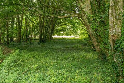 Woodland