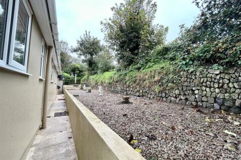 Back Garden