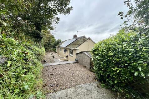 Back Garden