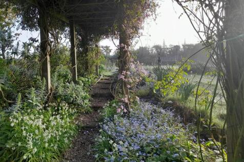 Property Image 44
