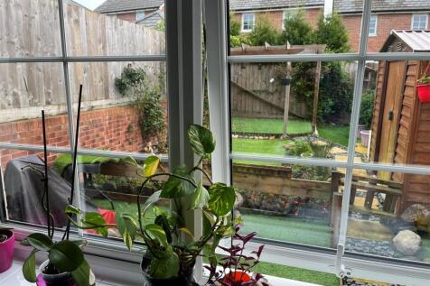 Garden View.jpg
