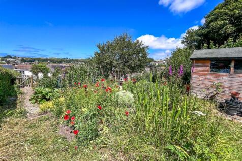 Vegetable Plot