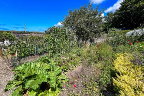 Veggie Plot