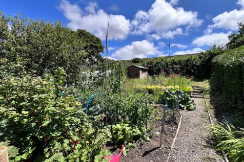 Veggie PLot