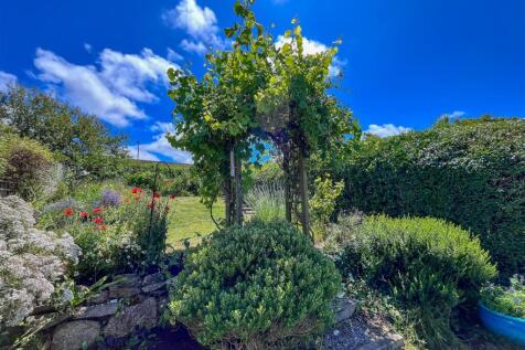 Looking from lower garden up