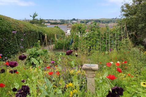 Veggie plot