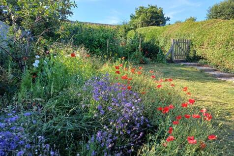 Upper garden to Veggie plot