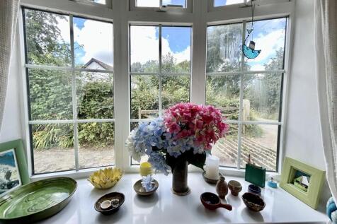 Window