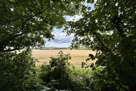 View from shared garden