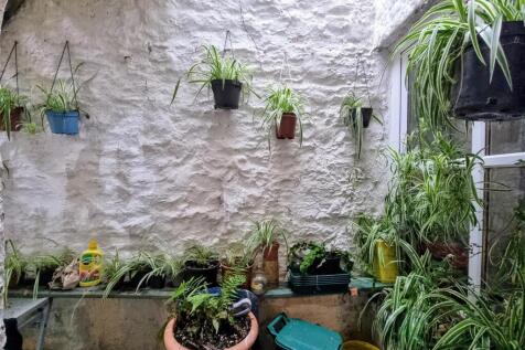 Rear courtyard