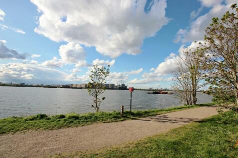 IMG_2484_pe.jpg