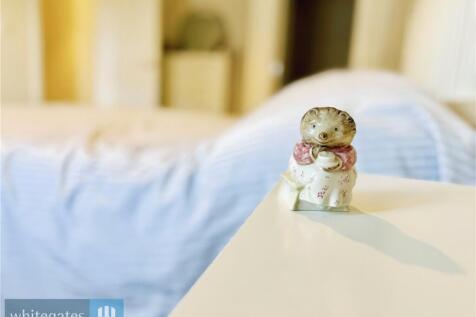 Mrs Tiggywinkle