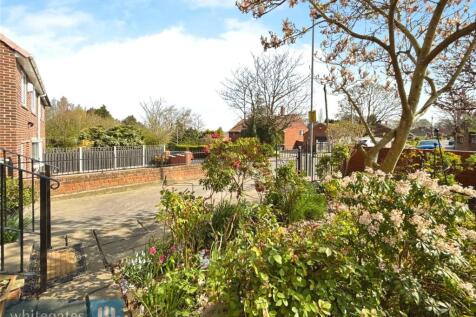 Gorgeous Garden
