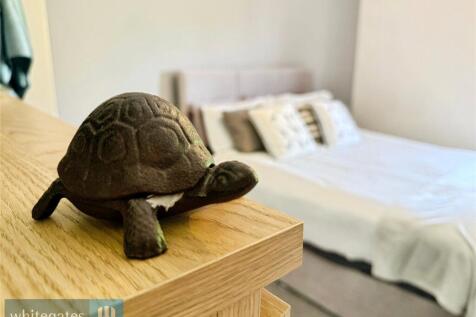 Turtley Awesome