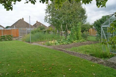 Vegetable Plot