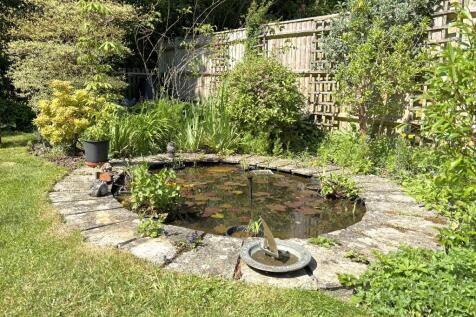 Wildlife Pond