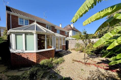 Rear Elevation