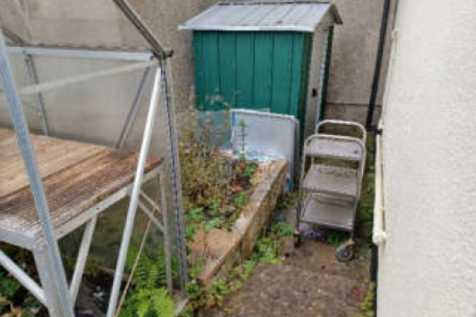 Rear Garden &amp; Shed