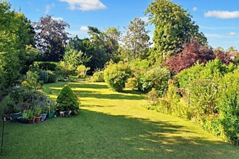View Towards Site