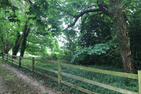 Proposed Access To Site