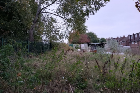 The Site from Access Road