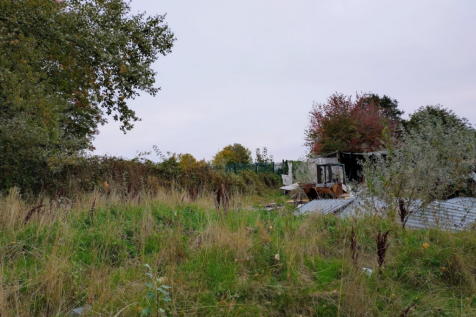 The Site from Access Road