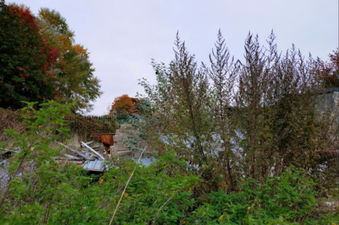 The Site From Access Road