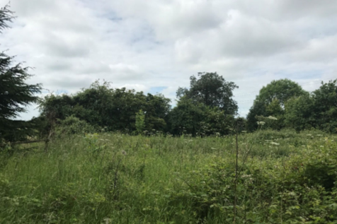 Proposed Southern Boundary Of Site