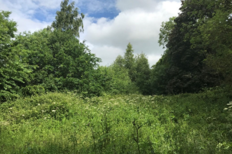 Proposed Site Looking North
