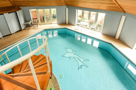 Overlooking Swimm...