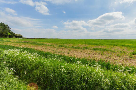 Field To Rear