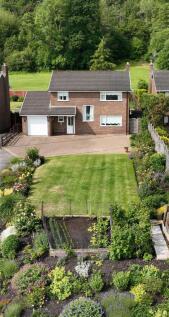 DJI_0107 - Cropped.JPG