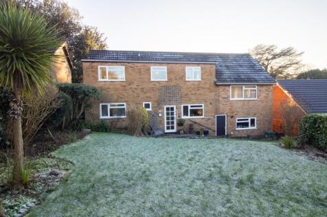 Property Image 34