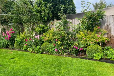 Vendor Supplied Garden Summer
