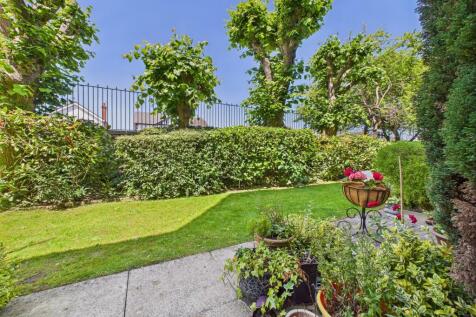 View from Patio Area