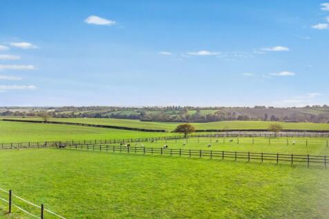 Views from Rear of Property