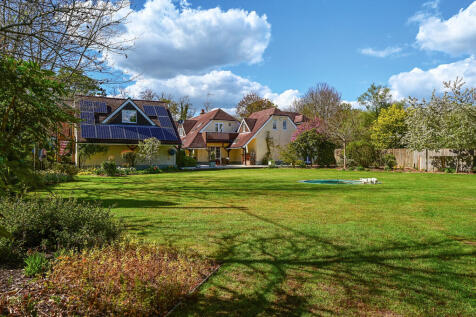 The Rear Garden