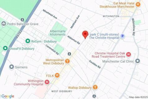 Google Maps Image