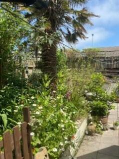 Garden, Parking &amp; Elevations