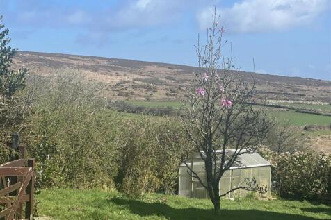 View from garden