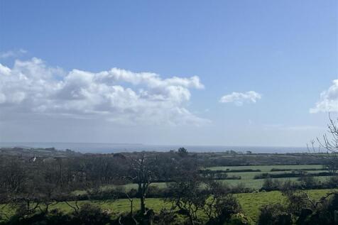 View from garden